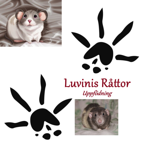 Luvinis Råttor logotyp